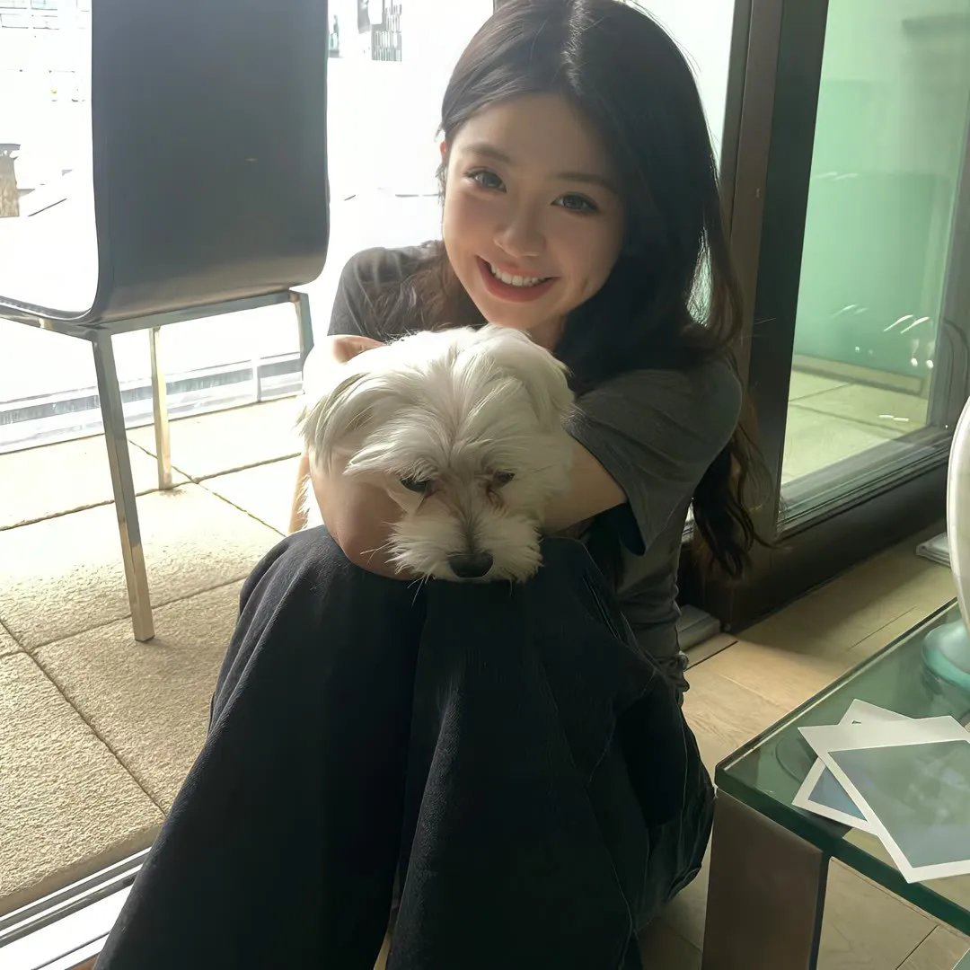 被驱逐的馆长