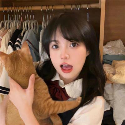 我心愚钝
